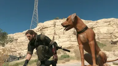 GZ 护卫犬伙伴