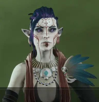 Vyr'Kai Lavellan 法师