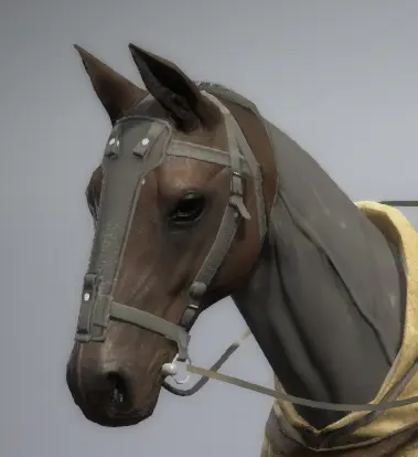 D-Horse 战衣面罩拆除