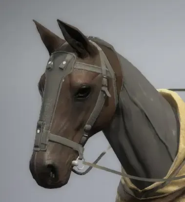 D-Horse 战衣面罩拆除