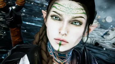 Enari'el - EF 精灵女性精灵法师 - Lavellan 滑块 - 保存 - 已保存的游戏