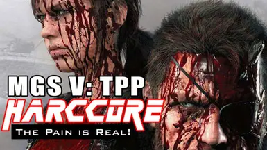 TPP 硬核模组 已更新并修订