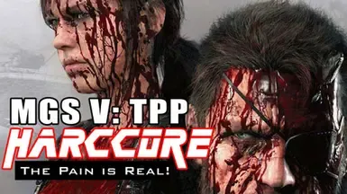 TPP 硬核模组 已更新并修订