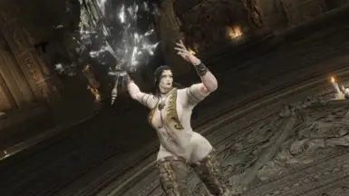 神皮贵族套装 For -KS- Solo Body