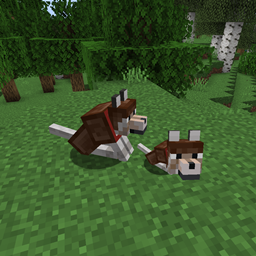 Pet Armor