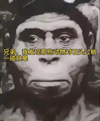 原始力量打击