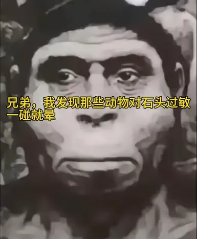 原始力量打击