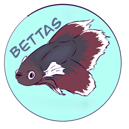 DragN的“Just Bettas”