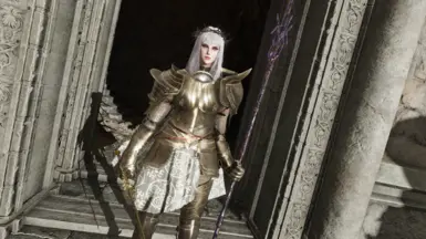 审判者 cleric 盔甲套装(堕落之主)