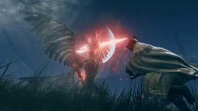 Elden Tweaks - 一款轻量级大修模组