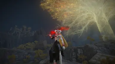 Vasto Lorde一护的角色招式