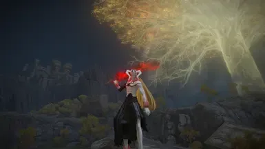 Vasto Lorde一护的角色招式