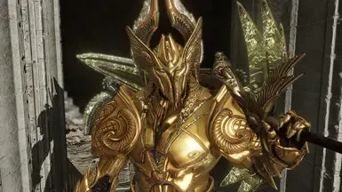 战士金伦加鸿沟套装