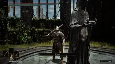 艾尔登法环 农民级 Reshade
