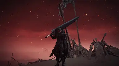 XTG 狂战士过场动画 Reshade 配置(适用于《艾尔登法环》)