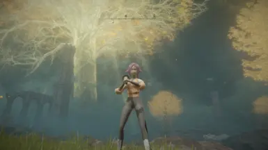 夜一 死神