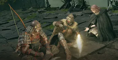 埃尔登法环 无缝合作 自定义护甲脚本