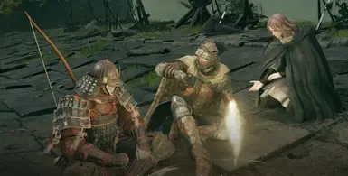 埃尔登法环 无缝合作 自定义护甲脚本