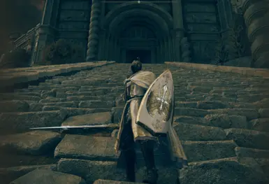 `Needle Knight Shield` 翻译为:**针骑士盾**
