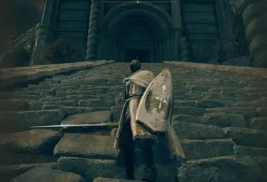 `Needle Knight Shield` 翻译为：**针骑士盾**