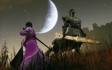 福尔戈,夜辉冠军首领战