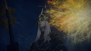 DS3 葛温德林头部与王冠