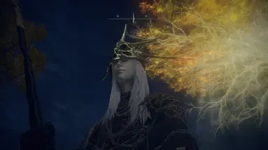 DS3 葛温德林头部与王冠