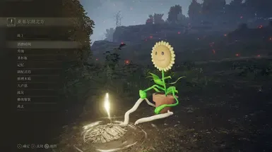 向日葵