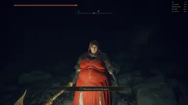 Elden Ring 存档 等级121 和 等级69