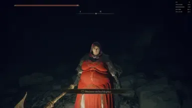 Elden Ring 存档 等级121 和 等级69