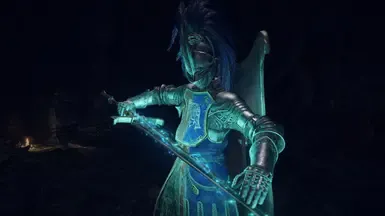 安定补丁 - 受污之王 - 骑士与黑骑士动作补丁