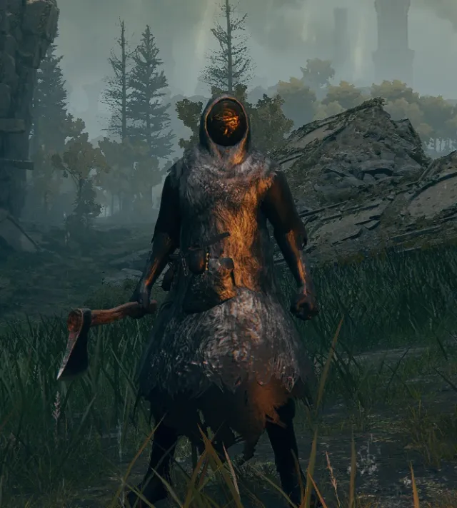 龙之学徒 DS2 适用于《艾尔登法环》