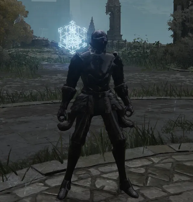 Alonne骑士套装 DS2 for ER
