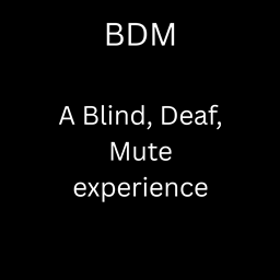 BDM(一种盲、聋、哑的体验。)