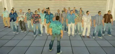 VCNG - 行人多样性 2
