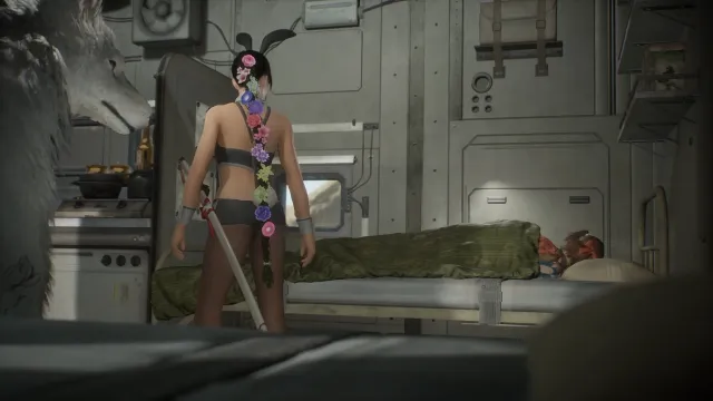兔子套装