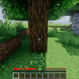 Timber Replant