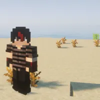 CyberServerPack