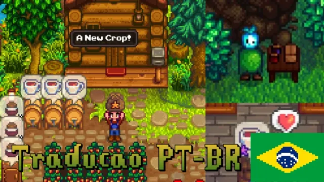 明星新秀(PTBR)