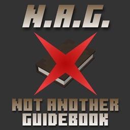Not Another Guidebook