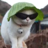 水果包