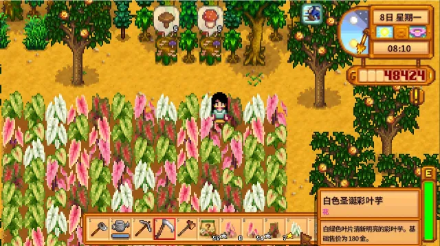 神秘彩叶芋作物模组