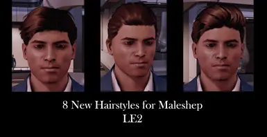 男性Shep LE2的早晨发型