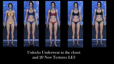 Morning的内衣纹理重制与新增 - Femshep LE3版