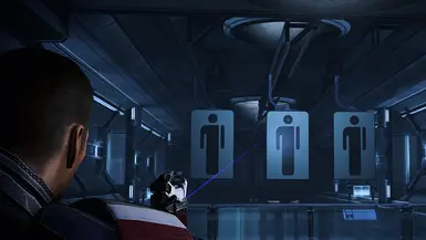 proper phalanx (LE3)