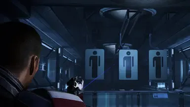 proper phalanx (LE3)