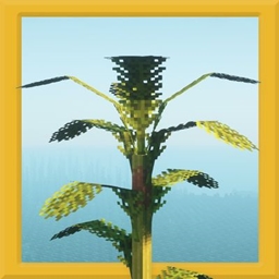 野生植物群