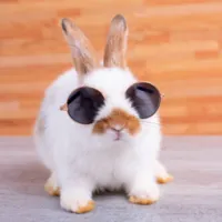 VBunny SMP 整合包