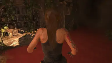 Lara.exe 5