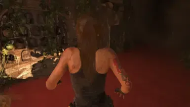 Lara.exe 5